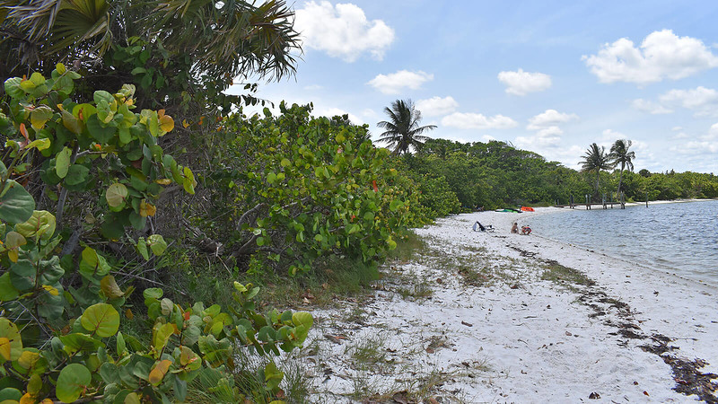 Hobe Sound Wildlife Refuge